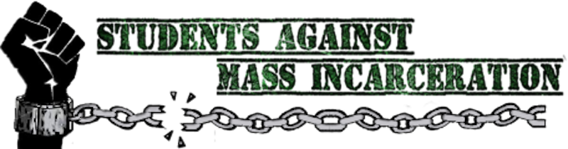 Photo Courtesy Of Sami-national - Constructions Of Black Panther Masculinity: Remasculinization, (800x210), Png Download