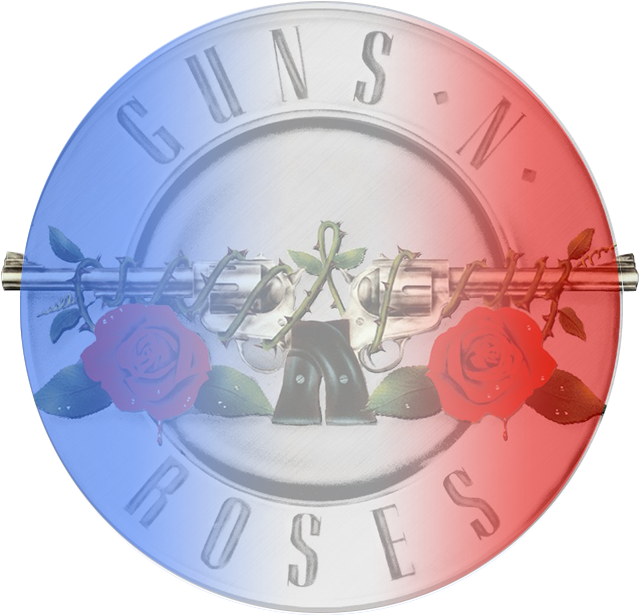 Gn'r France Logo - Guns N Roses (700x631), Png Download