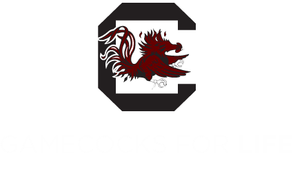 University Of South Carolina (464x294), Png Download