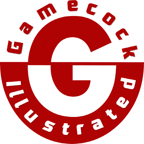 Adn Tái Tổ Hợp (500x500), Png Download