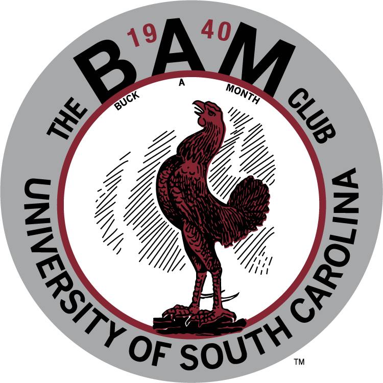 The Hand Drawn Gamecocks Are Usually From Programs - South Carolina Gamecocks (750x750), Png Download