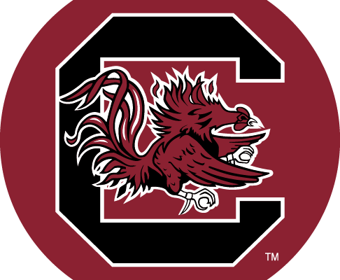 University Of South Carolina Usc Gamecocks Jewelry - South Carolina Gamecocks (486x400), Png Download