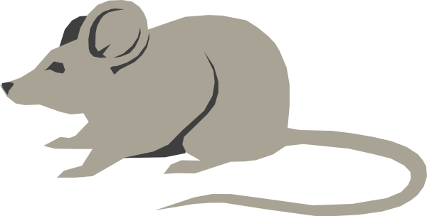 This Free Clipart Png Design Of Mouse Clipart Has - Mouse Png Clip Art (600x304), Png Download