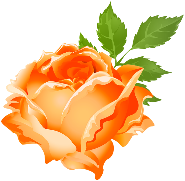 Orange Rose Png Clip Art Image - Clip Art Purple Flowers (600x585), Png Download