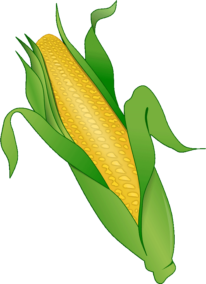 Corn Clipart Png Corn Clipart - Maize (720x1280), Png Download