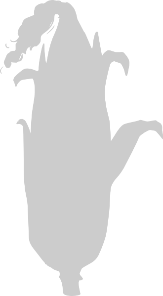 How To Set Use Gray Corn Clipart - Earth (330x599), Png Download