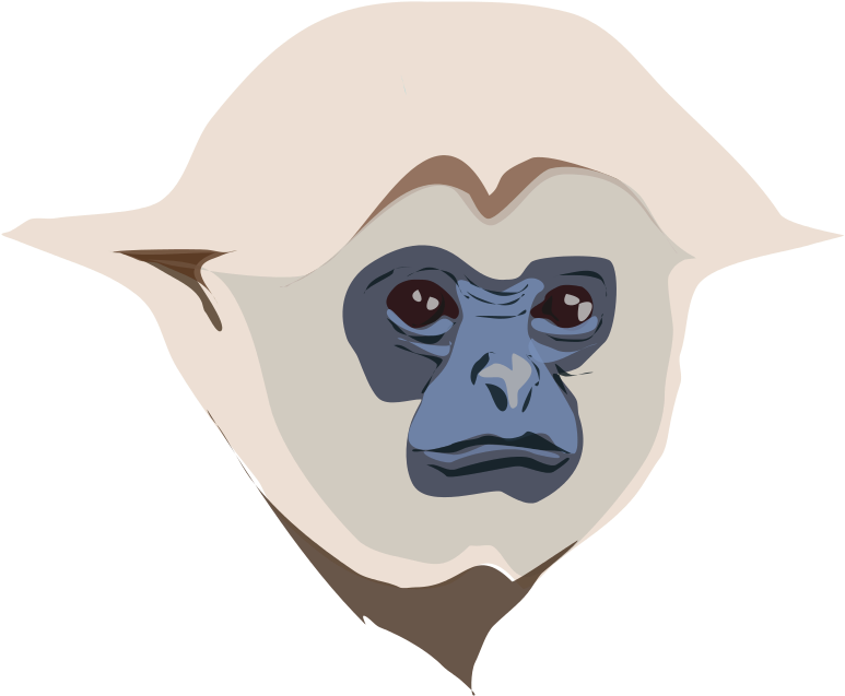 Free To Use &, Public Domain Monkey Clip Art - Personalisierter Gibbon Keramik Ornament (800x664), Png Download