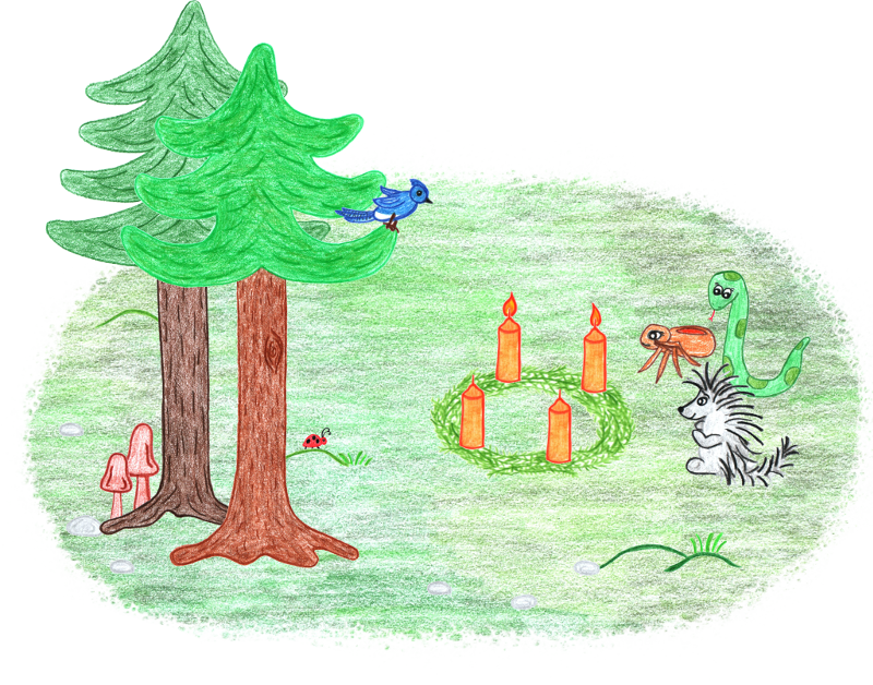 Clip Free Download Activity Bucklethorn Forestbucklethorn - Illustration (800x628), Png Download