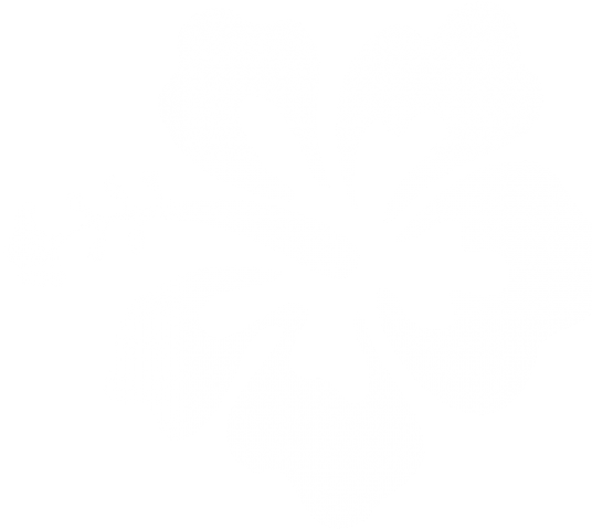 White Flower Clipart Hibiscus - Alm Summer Fire Emblem (640x480), Png Download