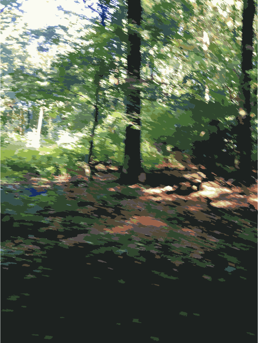 Lichtscheid Clipart Lichtscheid Temperate Broadleaf - Forest (900x1197), Png Download