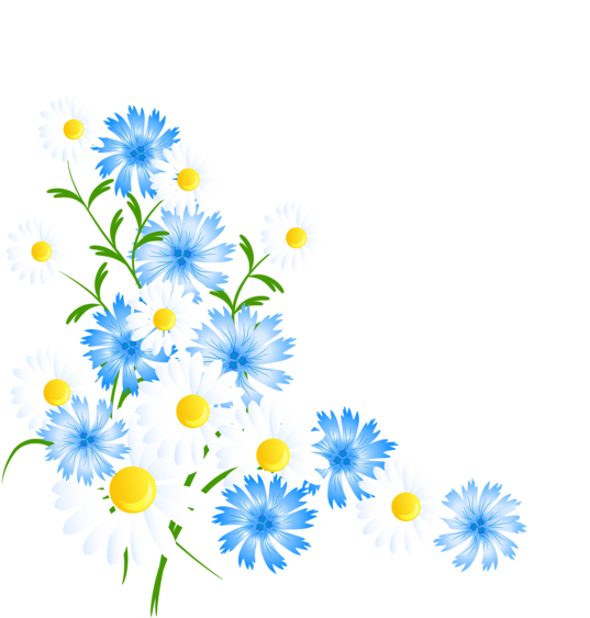 Daisy Clipart Flores - Daisy Png Flower Corner (576x600), Png Download