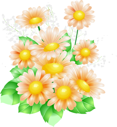 Daisy Clipart 8 Flower - Flower (461x500), Png Download