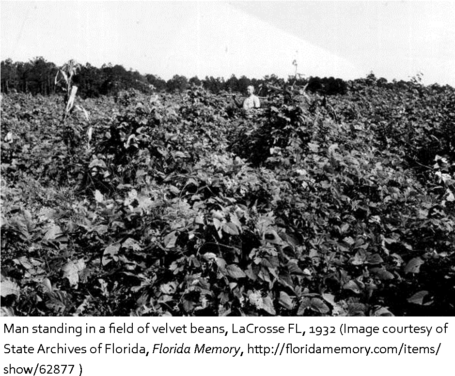 Florida Frontiers - Florida (938x795), Png Download