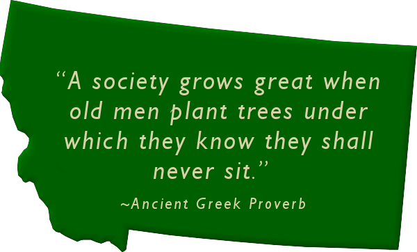 "a Society Grows Great When Old Men Plant Trees Under - Poster (600x362), Png Download