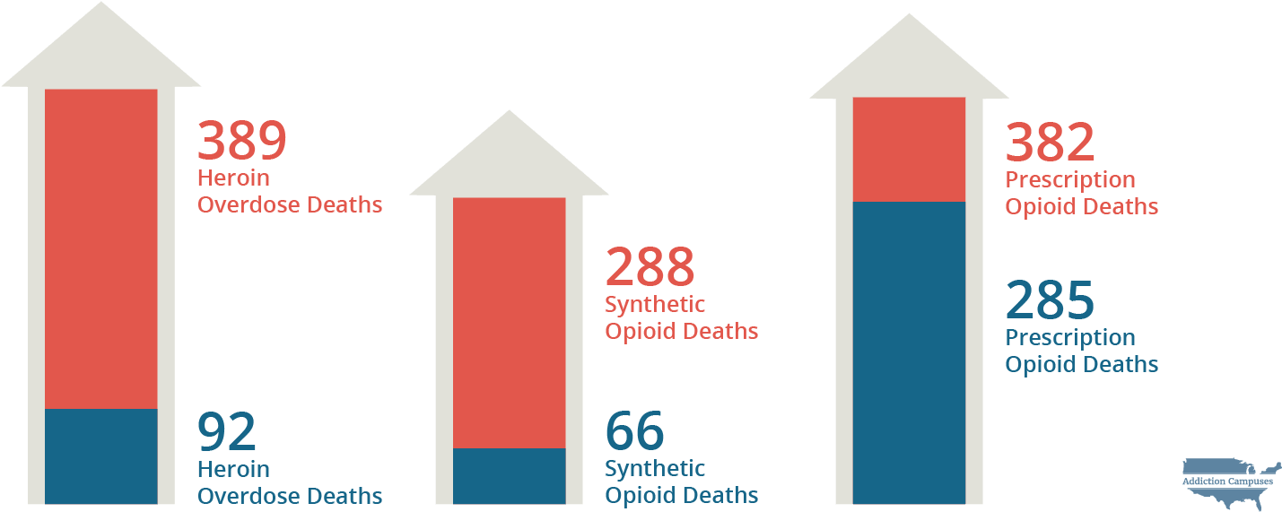 Com Wisconsin Overdose Death Statistics - Addiction Campuses (1460x629), Png Download