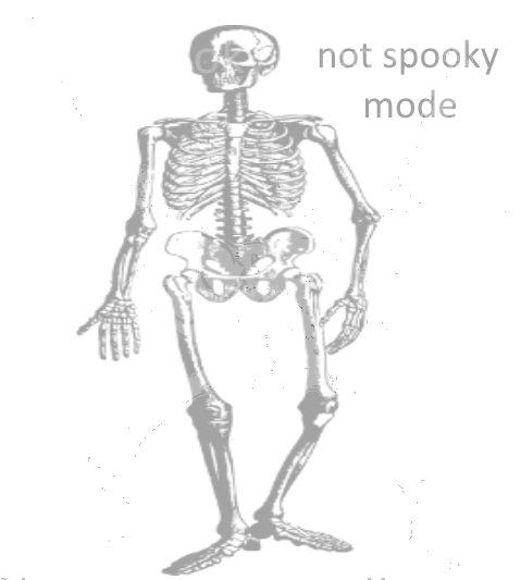 Time To Rave At Spooky Time - Skeleton (499x535), Png Download