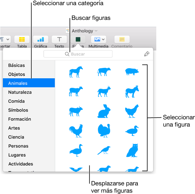 La Biblioteca De Figuras, Con Las Categorías Enumeradas - Hacer Esquemas En Pages (680x686), Png Download
