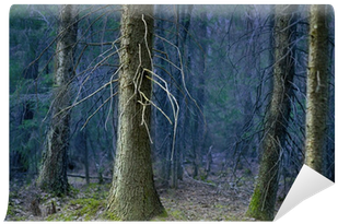 Die Suche Nach Wahrheit Mousepad (400x400), Png Download