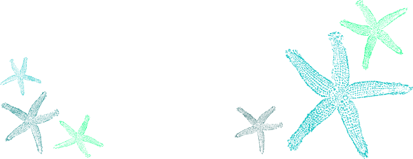 Starfish Silhouette Png Download - Fish Clip Art (600x231), Png Download