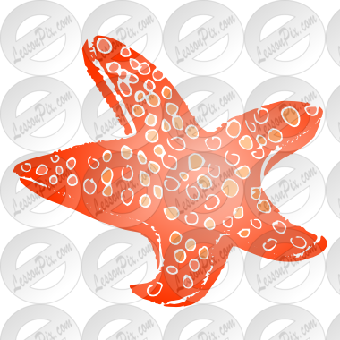Sea Star Template - Starfish (380x380), Png Download