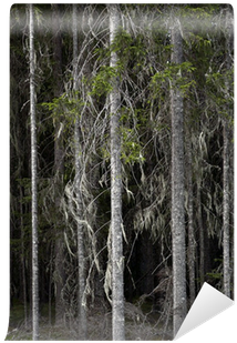Photograph (400x400), Png Download