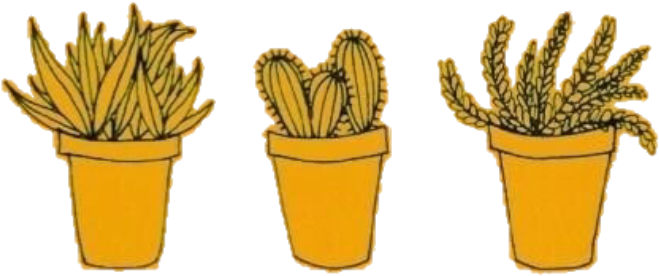 Yellow Amarillo Freetoedit Cactus Tumblr Random Aesthet - Yellow Cactus (1024x1024), Png Download