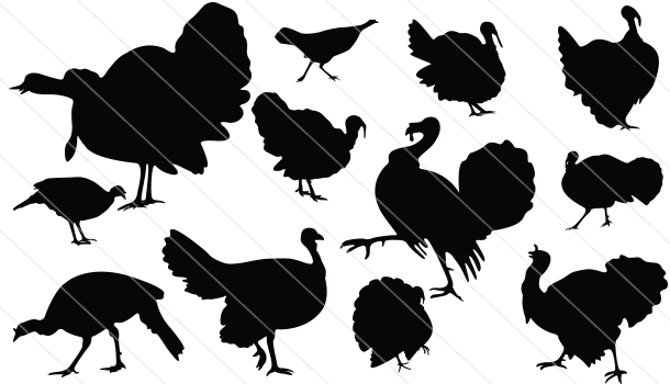 Turkey Silhouette Vector - Turkey Silhouette Sticker Decal For Macbook Pro (610x350), Png Download