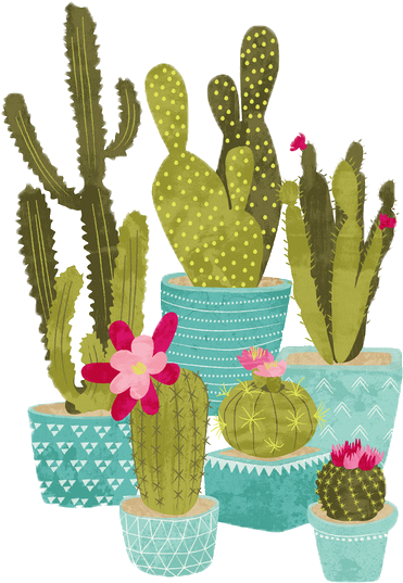 Report Abuse - Cactus (550x688), Png Download