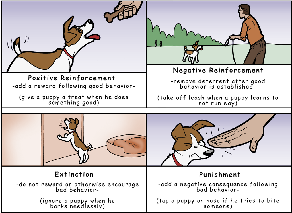 How To Write Superhero Novels, Comic Books And Superhero - Cartoon (1280x800), Png Download