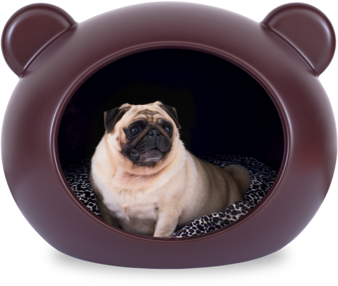 Dcmm Apt Ambientada - Dog (1000x668), Png Download