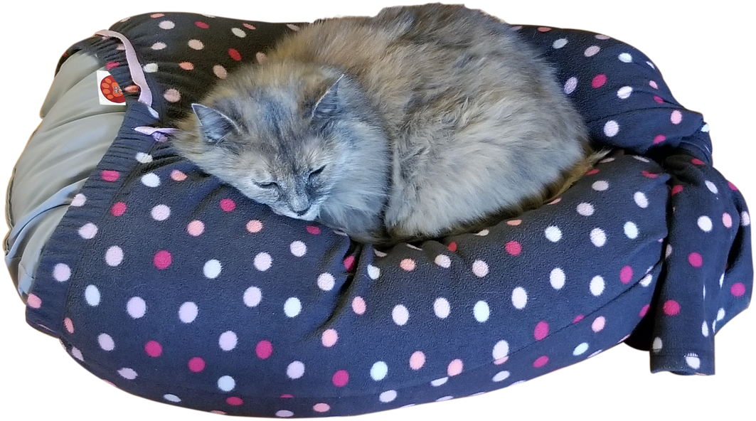 Why Mylap™ Pet Bed - Polka Dot (1100x633), Png Download