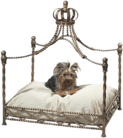 Pet Canopy Bed - Luxury Dog Beds (612x612), Png Download