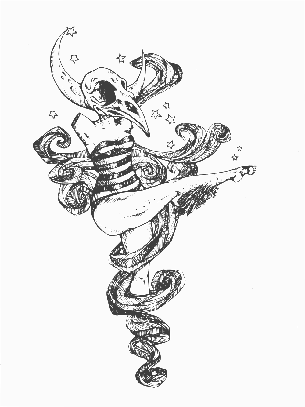 Dancing Bird Skull (1000x1333), Png Download