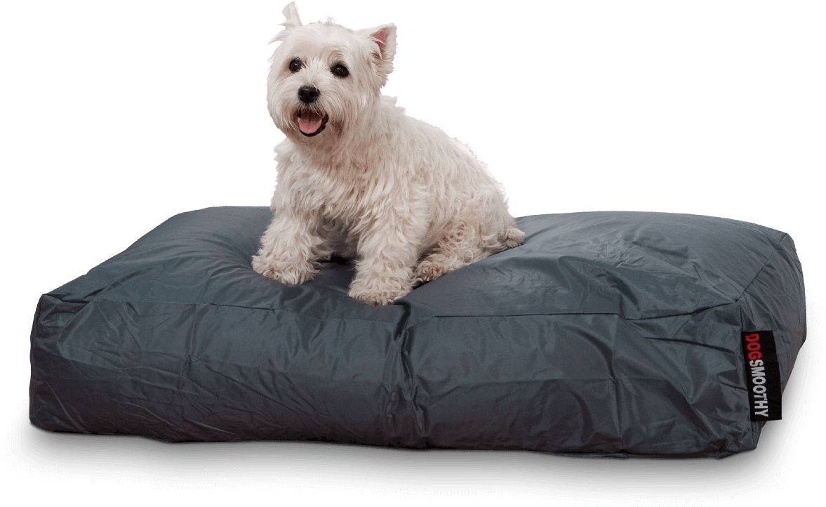 Smoothy Duvet Smoothy Gray (1815x1210), Png Download