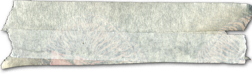 , Wolf Skull - Lace (846x281), Png Download