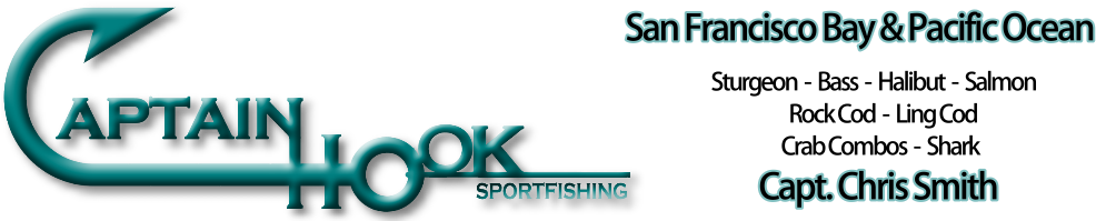 Captain Hook Sportfishing - Captain Hook (1000x203), Png Download