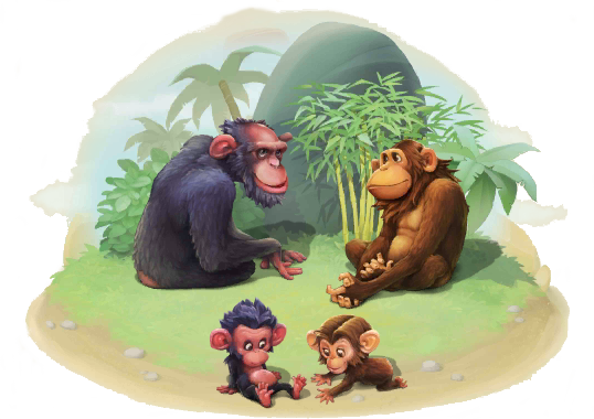 Chimpanzee Family - Chimpanzee (538x380), Png Download