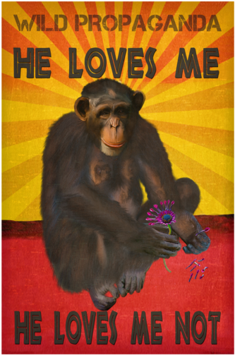 Chimpanzee He Loves Me, He Loves Me Not Vintage Black - Crewneck Tee Vintage Black (450x600), Png Download