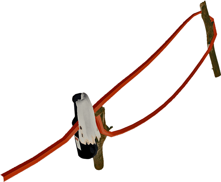 Wiki (750x750), Png Download