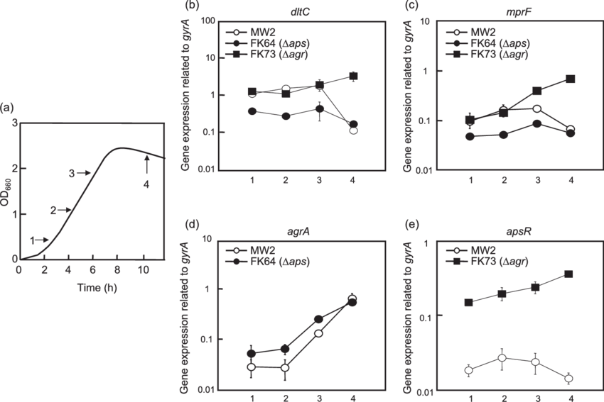Dlt, Mprf, Apsr And Agra Expression In S - Growth Curve (850x567), Png Download