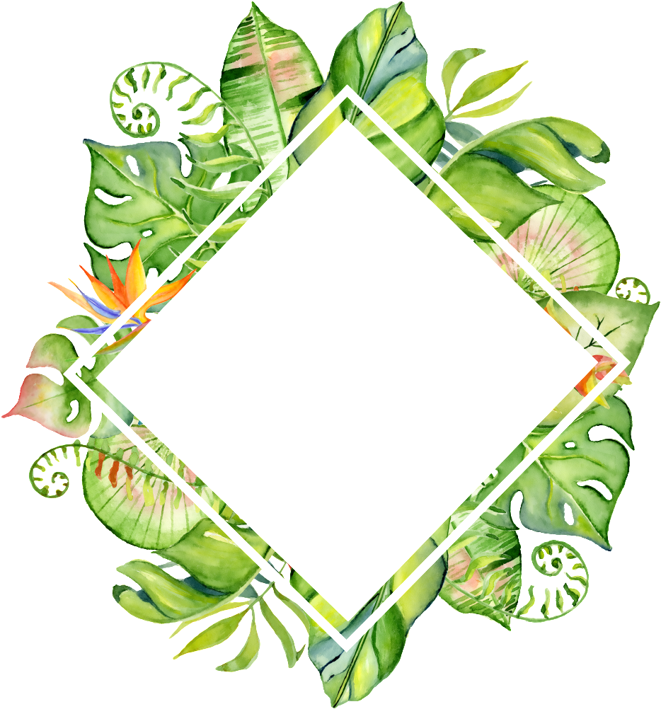 Hand Painted Rhomboid Leaf Frame Png Transparent - Leaf Watercolor Png Border (1024x1024), Png Download