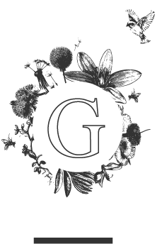 Cinema - Illustration (401x418), Png Download