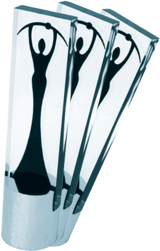 Elektra-awards - Award (452x534), Png Download