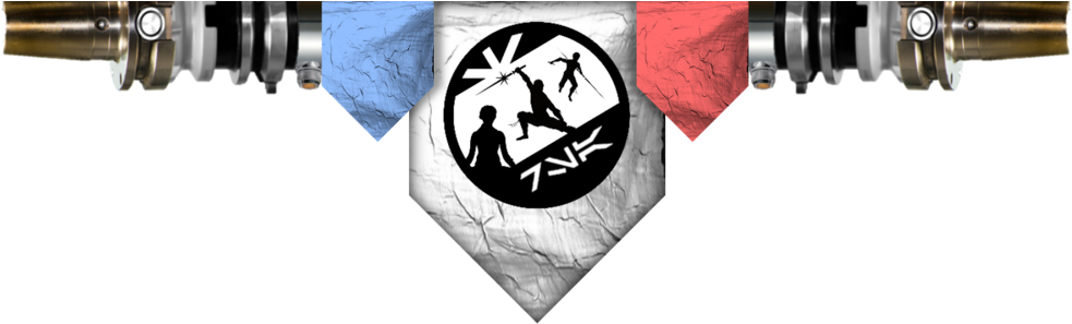 Image Of The Rogue Saber Academy Logo With Banners - Saber Academy (1000x318), Png Download
