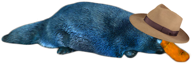 Perry The Platypus In Reallife Png Image - Platypus Transparent Png (768x511), Png Download
