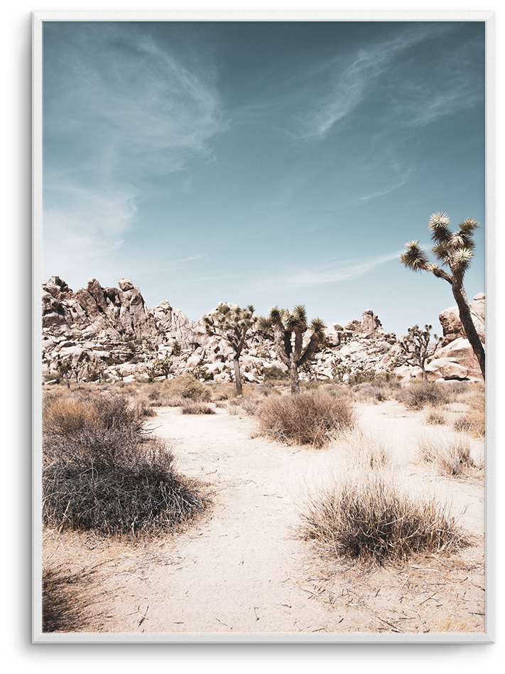 Joshua Tree - Sahara (937x1181), Png Download