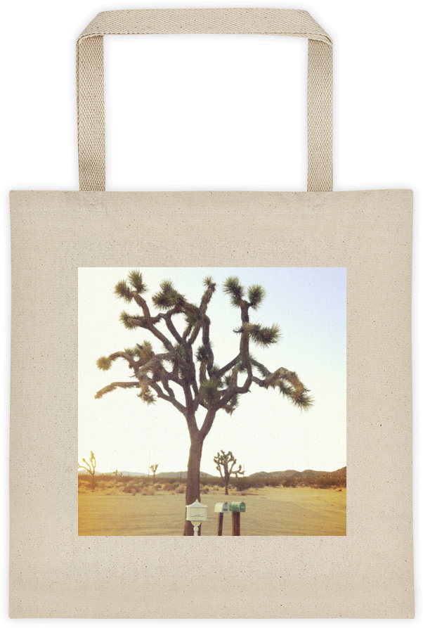Joshua Tree Tote - Probably Full Of Books Tote Bag. Book Bags Back To (1000x1000), Png Download