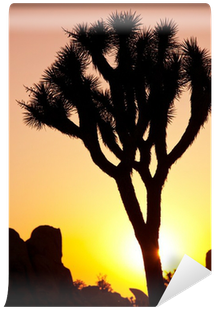 Painting (400x400), Png Download