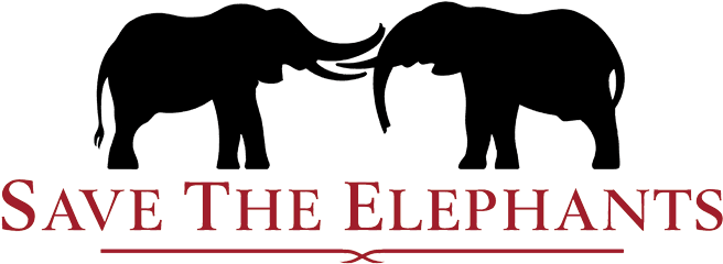 Ste-670x726 - Save The Elephants Logo (670x726), Png Download