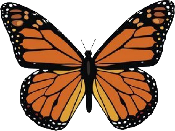 Ra - Monarch Butterfly (591x441), Png Download